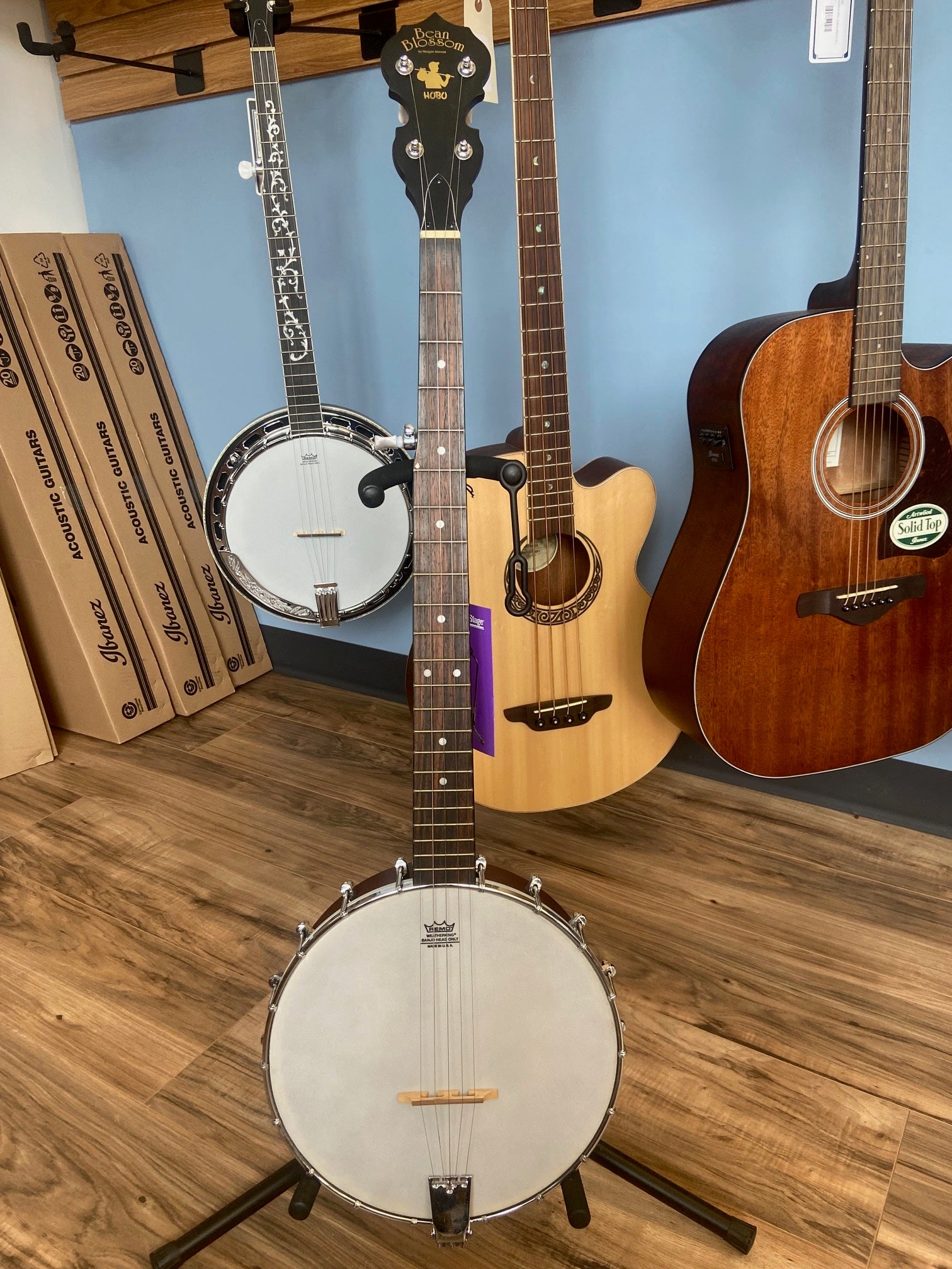 Bean blossom banjo outlet